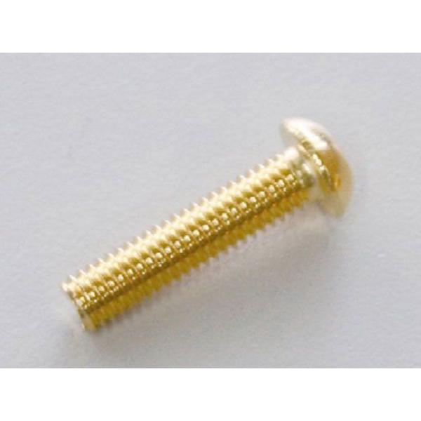 クリエイティブ・ファクトリー ポッシュ 汎用 SUS304 六角穴付ボタンキャップボルト タイプ 2...