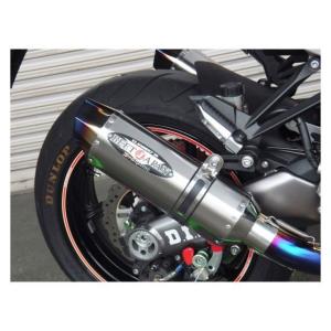 NITRO RACING（ナイトロレーシング） 4in1 手曲げチタンEXマフラー Z1