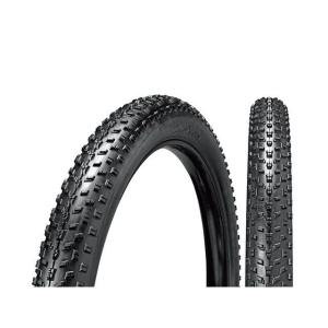 45NRTH（フォーティフファイブノース）ラスチャイルド ファットバイク