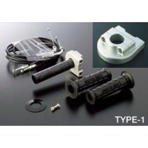 アクティブ スロットルKIT T-1 メッキ金具 ホルダーカラー シルバー 巻取径 φ40 ACTI...