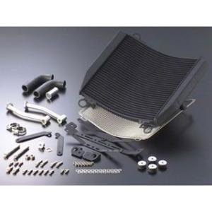 アクティブactive サーモスタッドKIT #6 gpz900r