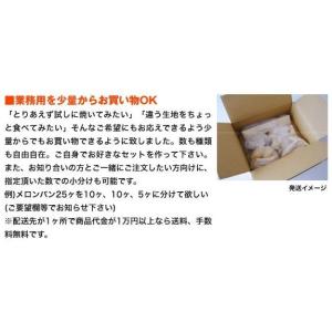 一口くるみパン 30g x 10ヶ 冷凍パン生地の詳細画像5