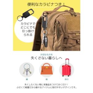 Apple社正規認定品 iPhone専用カラビ...の詳細画像5