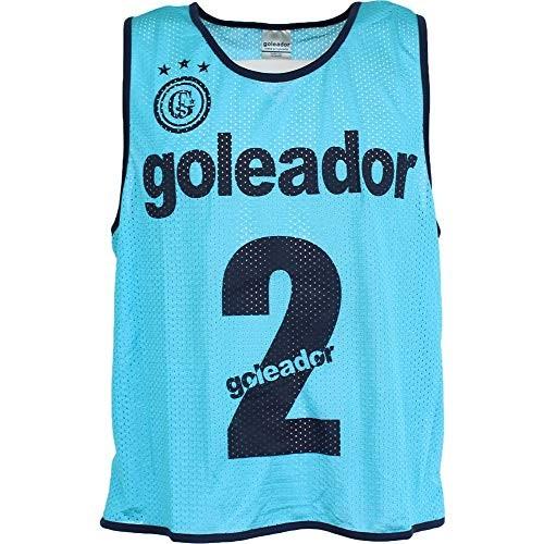 goleador ゴレアドール ビブス10枚SetNo.2〜11 A-043 Fサイズ ターコイズ