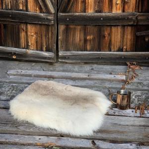 トナカイ毛皮 マット ラグ 敷物 天然 スウェーデン直輸入 北欧製 冬