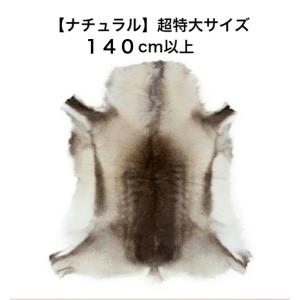 特大サイズ【フィンランド ラップランド製】高級 トナカイの毛皮