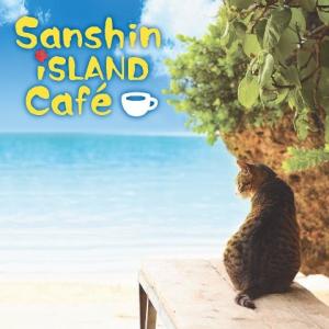 インスト】 hsb 「スティールパンで聴く沖縄音楽」 : 沖縄音楽
