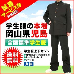 学生服　全国標準型学生服上下セット　国内最高ランクの生地使用の日本製　スーパーストレッチ　ウール混　A体