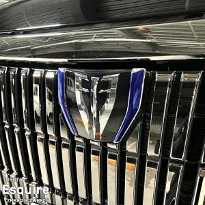 カラー エンブレム 送料無料 ZWR80 エスクァイア