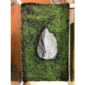 水中のグリーン絨毯 水草の種 ミニリーフ…の詳細画像2