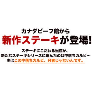 中落ちカット ステーキ 300g ステーキ肉 ...の詳細画像1