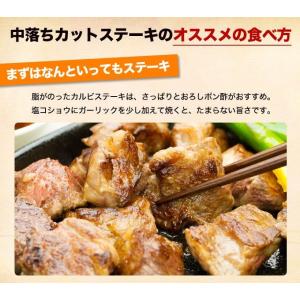 中落ちカット ステーキ 300g ステーキ肉 ...の詳細画像4