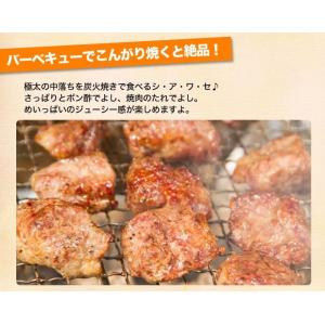 中落ちカット ステーキ 300g ステーキ肉 ...の詳細画像5