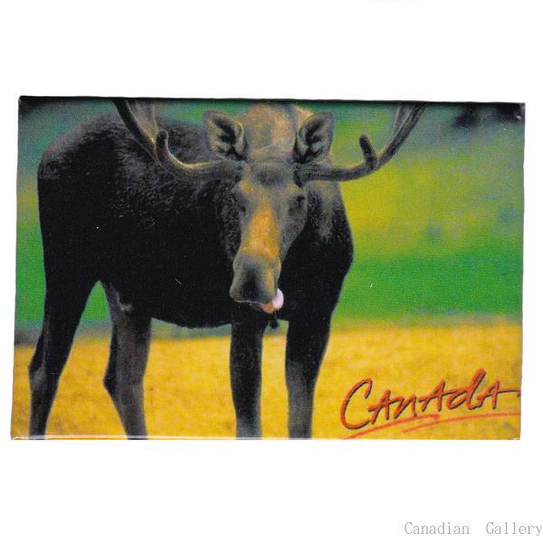 CANADA ムース(ヘラジカ) マグネット メール便配送(ポスト投函)、代引不可
