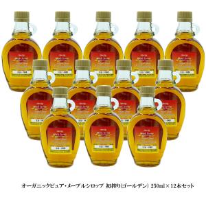 メープルシロップ 250m 限定ロット 初搾り ...の商品画像