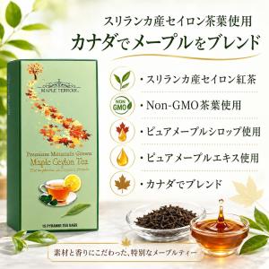 メープル 紅茶 メイプルティー 15袋入り 1...の詳細画像2
