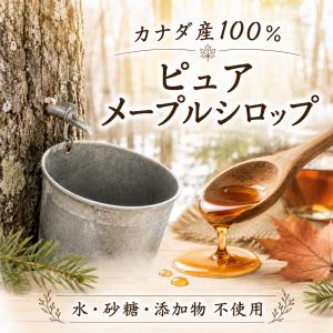 メープルシロップ 50ml 3本 セット カナ...の詳細画像1