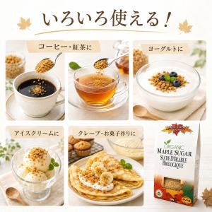 メープルシュガー オーガニック 100g 3箱...の詳細画像3