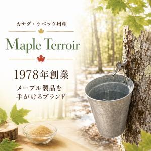 メープルシュガー オーガニック 100g 3箱...の詳細画像5