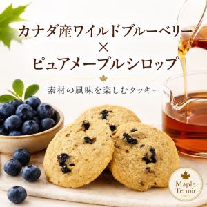 メープル&ブルーベリークッキー 100g 10...の詳細画像1