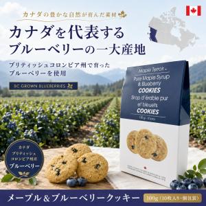メープル&ブルーベリークッキー 100g 10...の詳細画像5