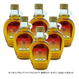 メープルシロップ 250m 限定ロット 初搾り ×６本 激安 お得セット カナダ土産 100％ ピュア メイプル グレードA ゴールデンデリケートテイスト