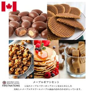 メープルギフトセット カナダ お取り寄せ メープルグルメ お土産 メープル シロップ 海外仕様 メープルテルワー ブランド 激安 通販 お歳暮 熨斗OK
