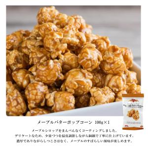 メープルギフトセット カナダ お取り寄せ メー...の詳細画像3