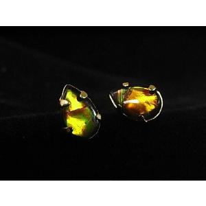 稀少な化石宝石アンモライト・ 【14Kホワイトゴールドペンダントトップ