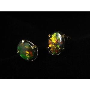 14K アンモライト ピアス カナダ の 稀少 な 化石 宝石 アンモライト 【 K14 ゴールド ピアス