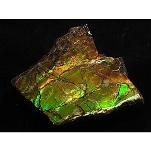 稀少な化石宝石アンモライト・ 【14Kホワイトゴールドペンダントトップ