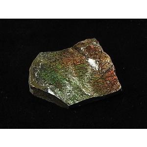 稀少な化石宝石【アンモライト原石の破片】Canada Fossils社｜canadianselect