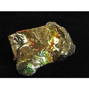 カナダ の 稀少 な 化石 宝石 【 アンモライト 原石 破片 】 KORITE