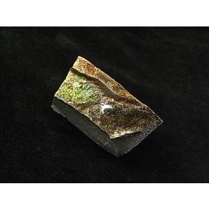 カナダ の 稀少 な 化石 宝石 【 アンモライト 原石 破片 】 KORITE
