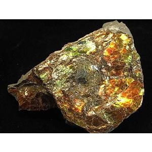 カナダ の 稀少 な 化石 宝石 【 アンモライト 原石 破片 】 KORITE