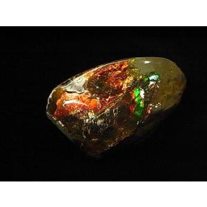 カナダ の 稀少 な 化石 宝石 【 アンモライト 原石 破片 】 KORITE