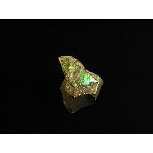 カナダ の 稀少 な 化石 宝石 【 アンモライト 原石 破片 】 KORITE