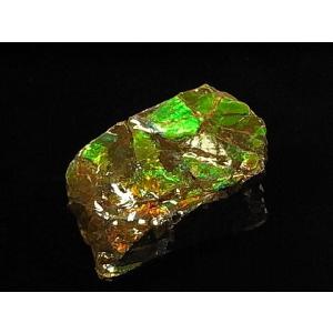 カナダ の 稀少 な 化石 宝石 【 アンモライト 原石 破片 】 KORITE