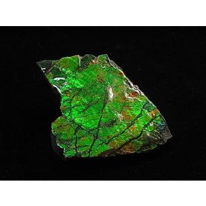 稀少な化石宝石アンモライト・ 【14Kホワイトゴールドペンダントトップ