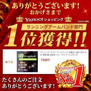 ランニング ライト アームバンド 充電式 US...の詳細画像1