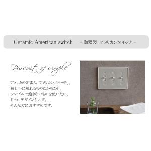 まとめ買いで10%OFFクーポンあり★スイッチ...の詳細画像4
