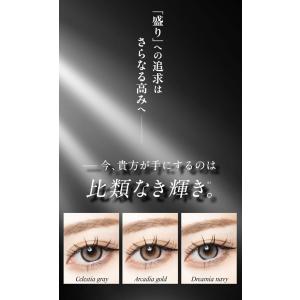 ラヴェール 1箱10枚 (メール便送料無料) ...の詳細画像1