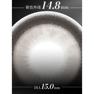 ラヴェール 1箱10枚 (メール便送料無料) ...の詳細画像3