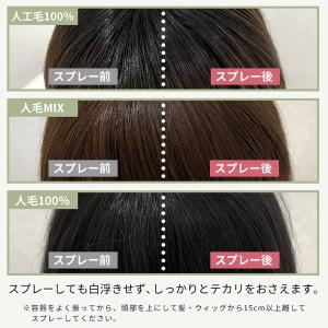アクアドール つや消しスプレー [wgn039...の詳細画像4