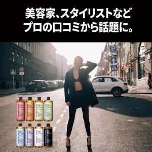 ザ・パーフェクトアンカー 994ml 選べる2...の詳細画像3