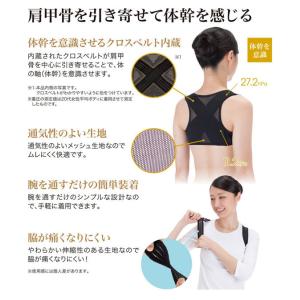 体幹加圧エクサベルト (メール便送料無料) 体...の詳細画像2