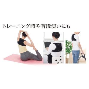 体幹加圧エクサベルト (メール便送料無料) 体...の詳細画像3