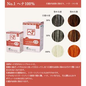 ナイアード naiad No.1 ヘナ 100...の詳細画像2
