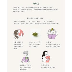 ナイアード naiad No.1 ヘナ 100...の詳細画像3