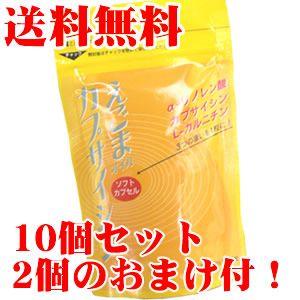 えごまカプサイシン 10個セット+2個おまけ エ...の商品画像
